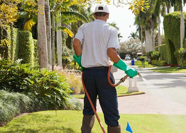 About Pepin WI Pest Control Pros